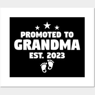 Promoted To Grandma 2023 Posters and Art